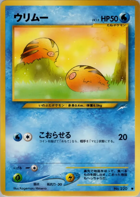 Swinub