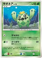 Cacnea [1st-Edition]