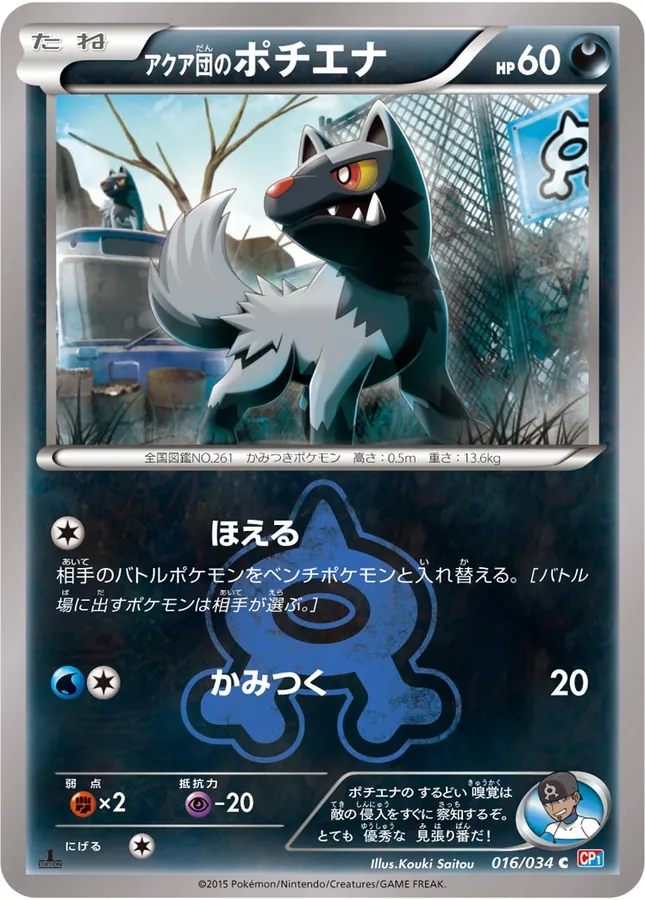 Team Aqua's Poochyena