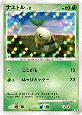 Turtwig