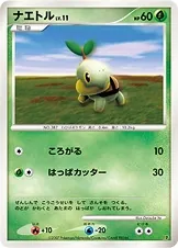 Turtwig