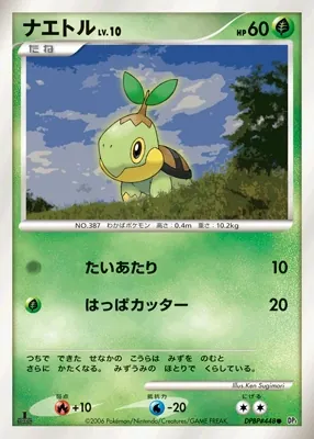 Turtwig