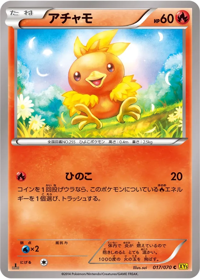 Torchic