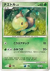 Turtwig