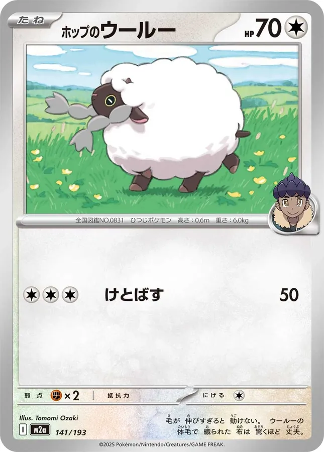 Hop's Wooloo [Ball]