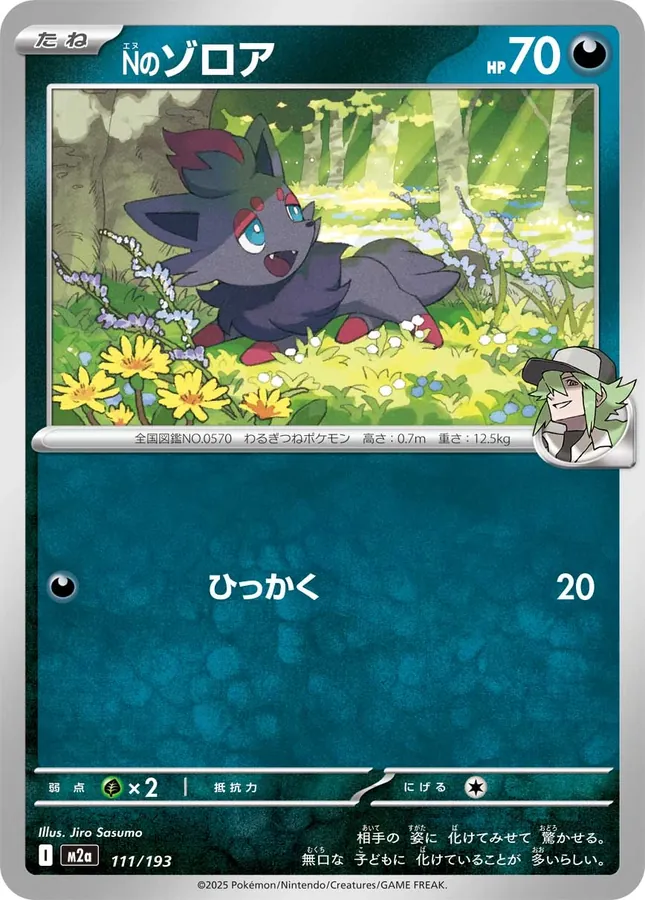 N's Zorua [Ball]