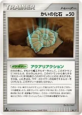 Helix Fossil