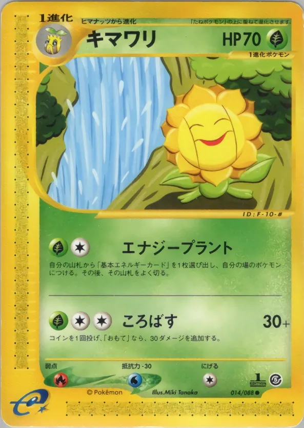 Sunflora