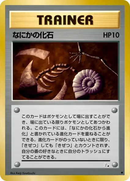 Mysterious Fossil