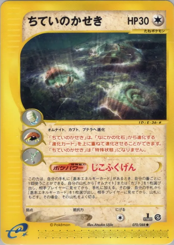 Buried Fossil