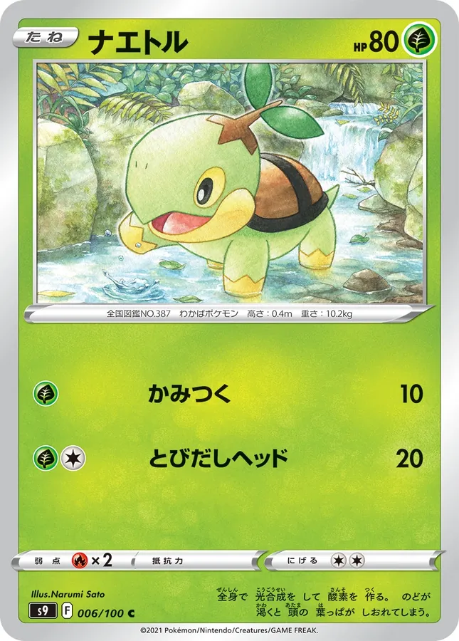 Japanese Star Birth Turtwig Pokémon card