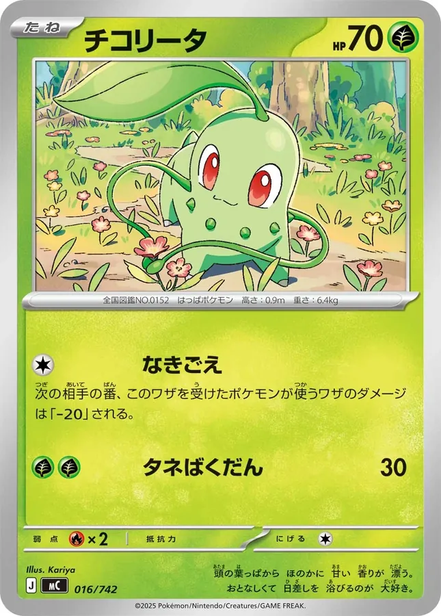 Chikorita [Mirror-Holo]