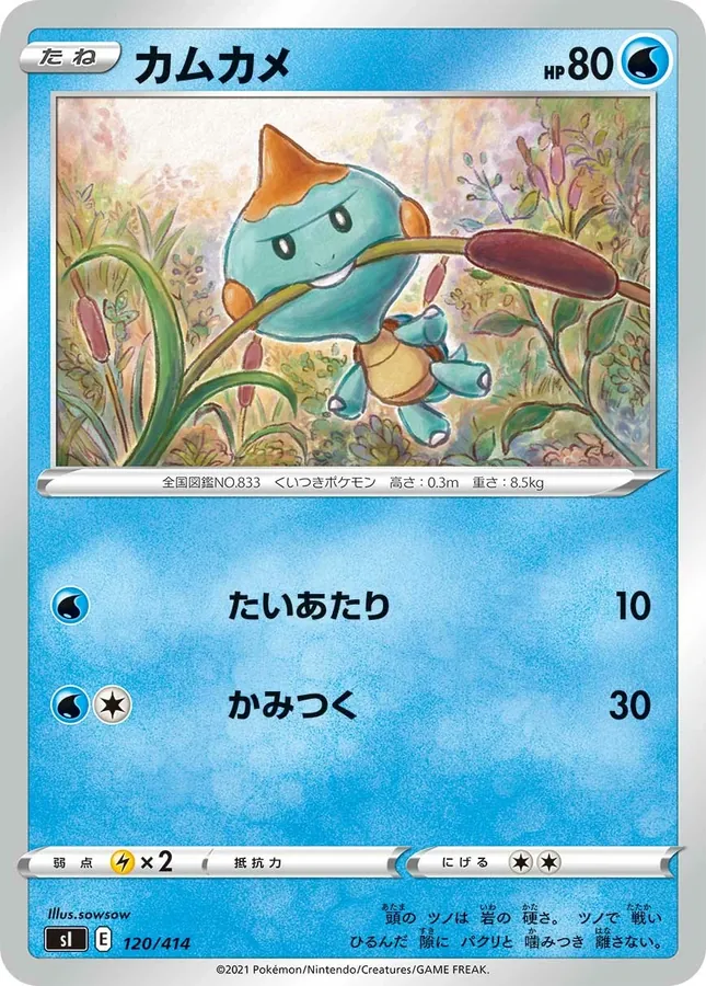 Chewtle [Alt Art]