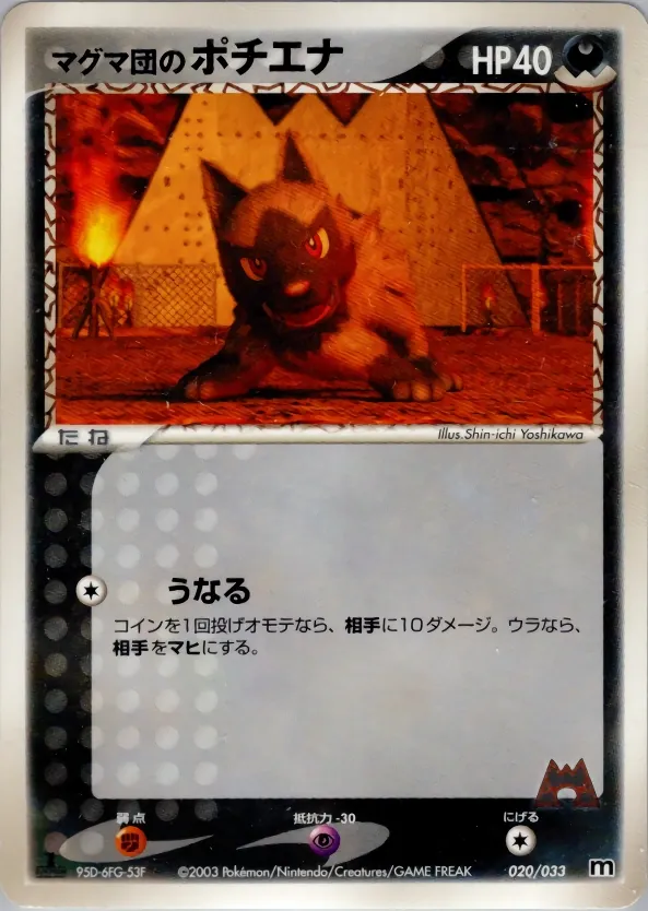 Team Magma's Poochyena