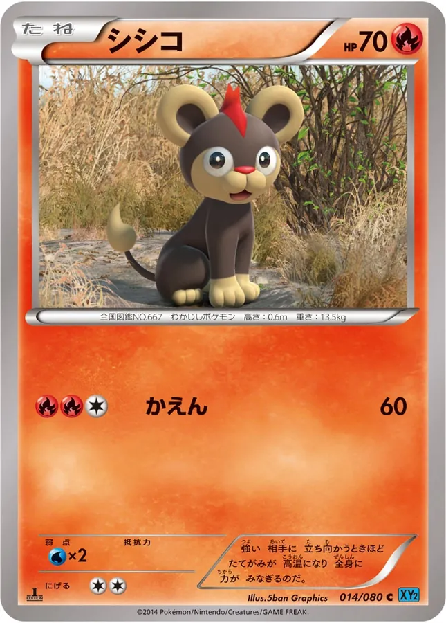 Litleo