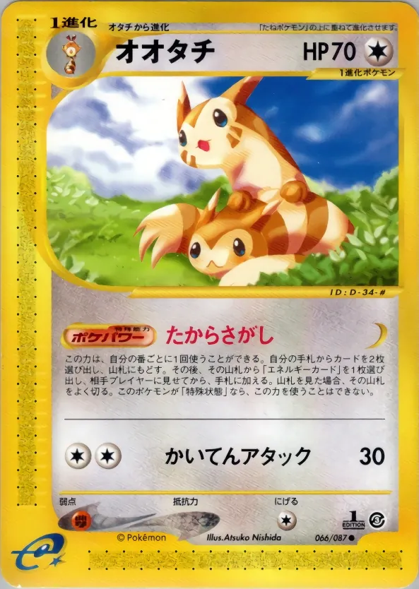 Furret