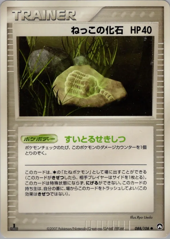 Root Fossil
